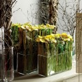 Flower design 2016