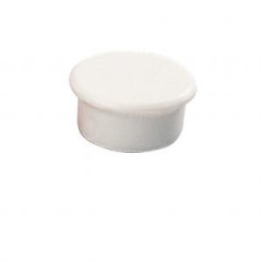 Magnet 13 mm biely 