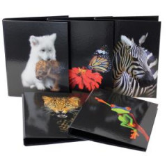 Zakladač 2-krúžkový DONAU A4 Zvieratá 25 mm, mix motívov, 10 ks 