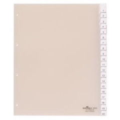 Plastov rozraova DURABLE s vmennmi indexami 20-dielny maxi 