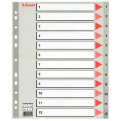 Plastov rozraova Esselte 1-12 maxi siv 