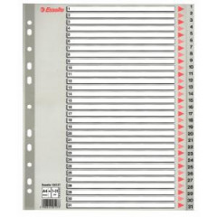 Plastov rozraova Esselte 1-31 maxi siv 