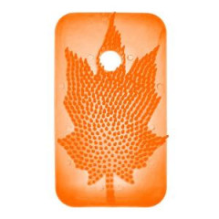 Zvesn va do zsobnka mango (oranov) 1 kus 