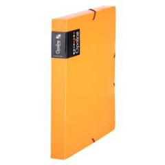 Plastov box s gumikou Karton PP Opaline oranov 