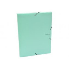 Plastov box s gumikou Karton PP Pastelini zelen 