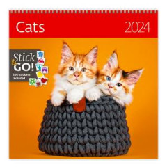 Nstenn kalendr Cats 2024