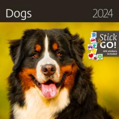 Nstenn kalendr Dogs 2024